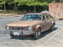 AMC Hornet station wagon